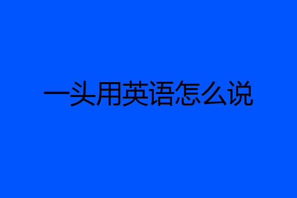 一头用英语怎么说