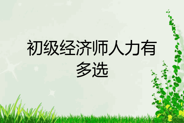 初级经济师人力有多选