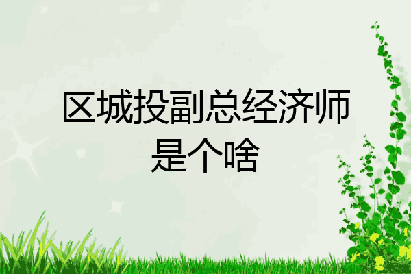 区城投副总经济师是个啥