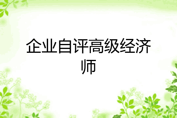企业自评高级经济师