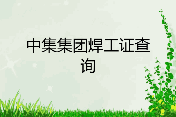 中集集团焊工证查询