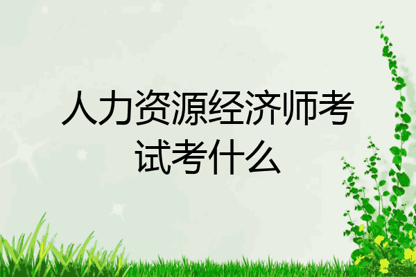 人力资源经济师考试考什么