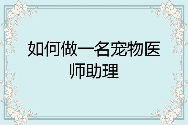 如何做一名宠物医师助理