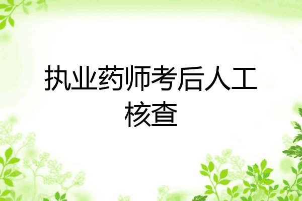 执业药师考后人工核查