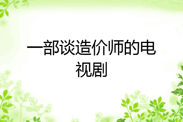 一部谈造价师的电视剧
