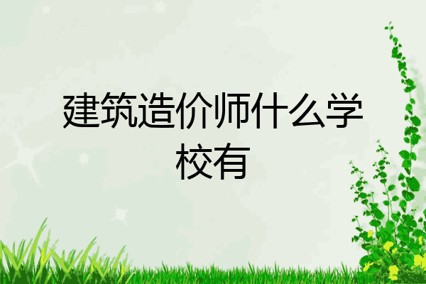 建筑造价师什么学校有