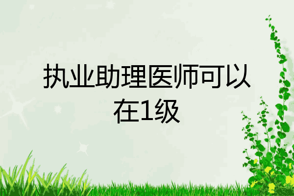 执业助理医师可以在1级