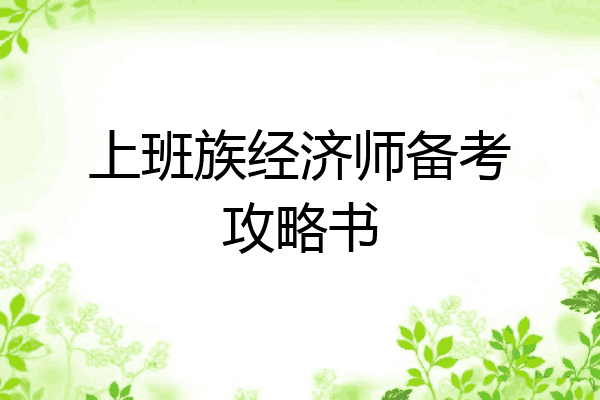 上班族经济师备考攻略书