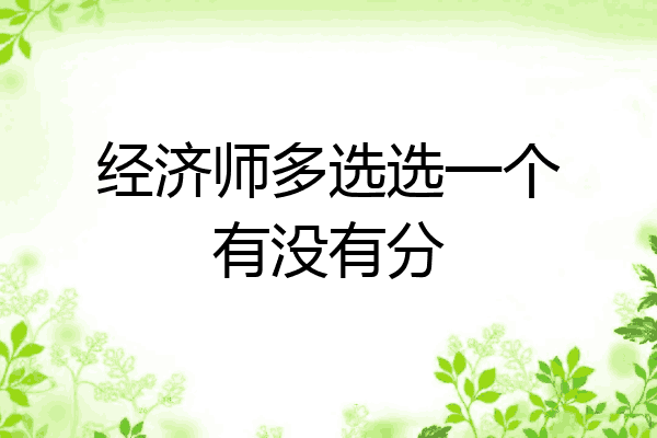 经济师多选选一个有没有分