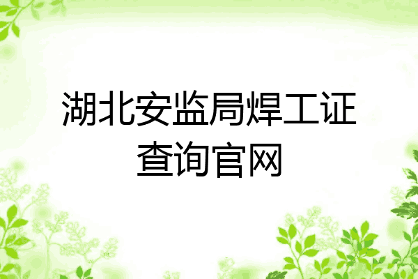 湖北安监局焊工证查询官网