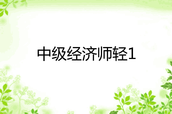 中级经济师轻1
