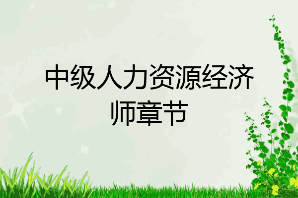 中级人力资源经济师章节