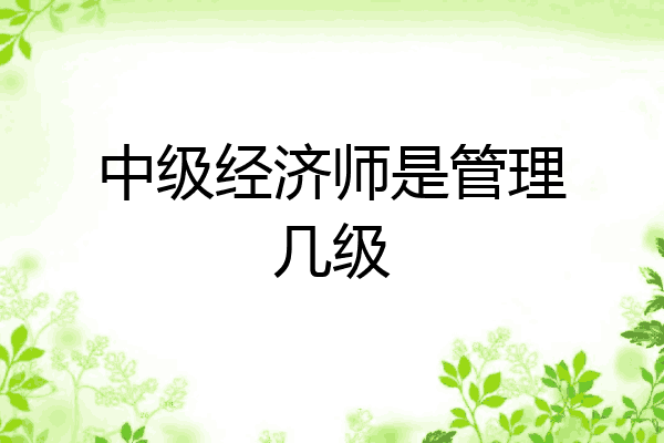 中级经济师是管理几级