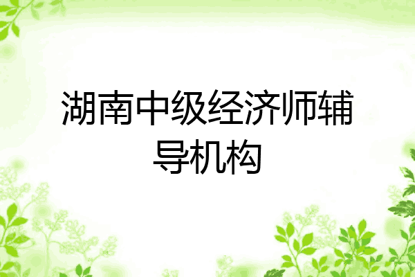湖南中级经济师辅导机构