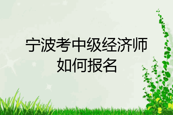 宁波考中级经济师如何报名
