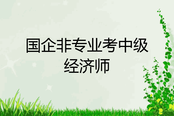 国企非专业考中级经济师