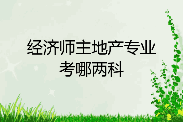 经济师主地产专业考哪两科