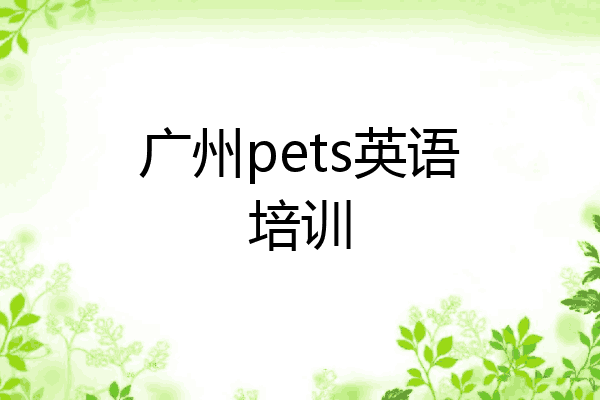广州pets英语培训