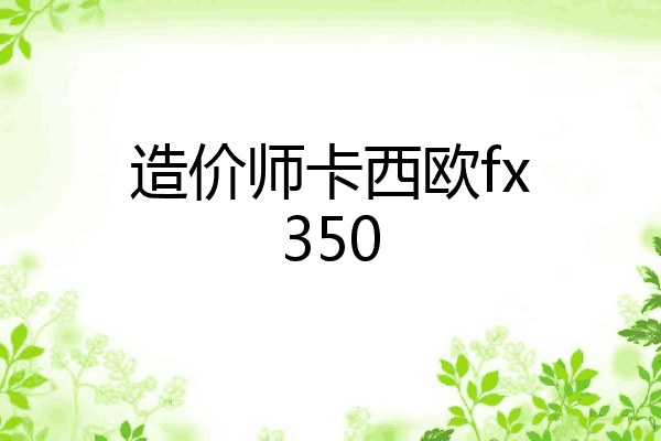 造价师卡西欧fx350