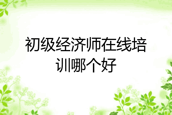 初级经济师在线培训哪个好