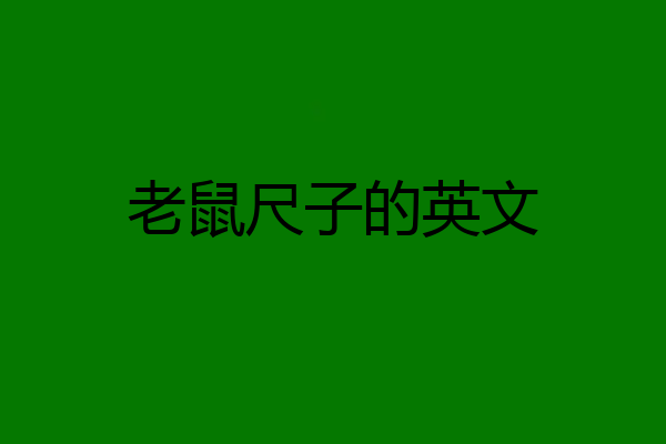 老鼠尺子的英文