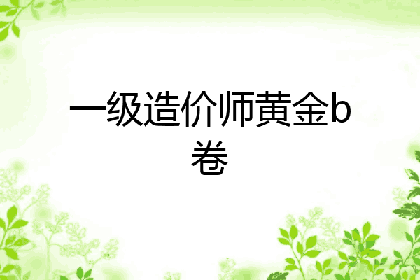 一级造价师黄金b卷