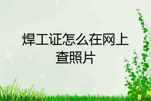 焊工证怎么在网上查照片