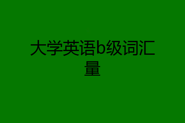 大学英语b级词汇量