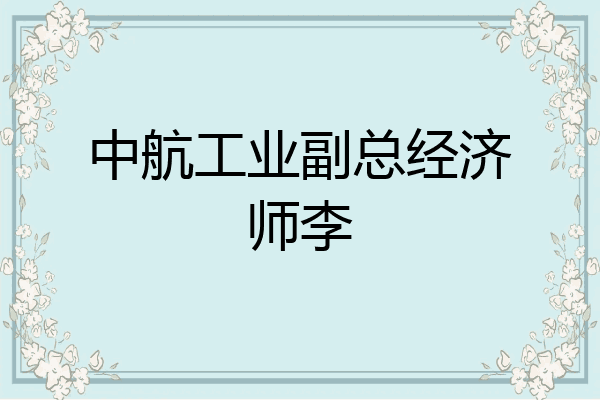 中航工业副总经济师李