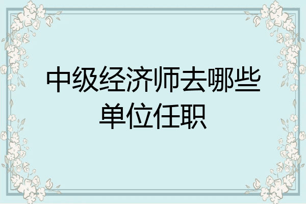 中级经济师去哪些单位任职