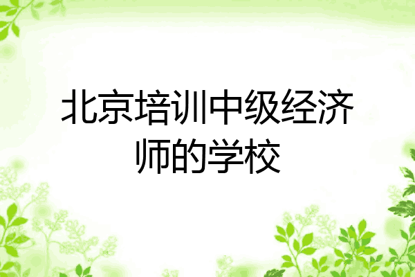 北京培训中级经济师的学校