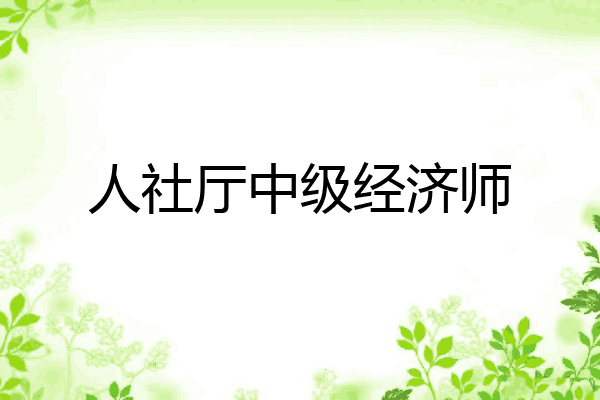 人社厅中级经济师