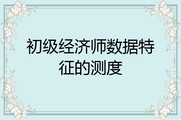 初级经济师数据特征的测度