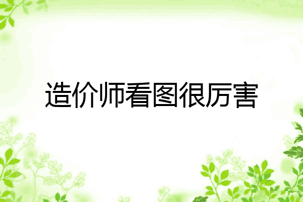 造价师看图很厉害