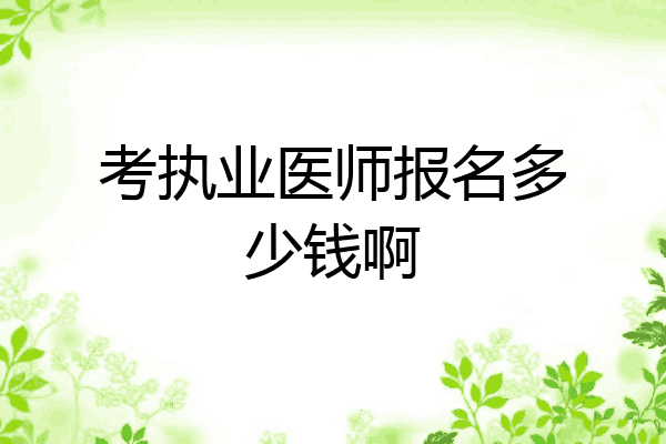 考执业医师报名多少钱啊