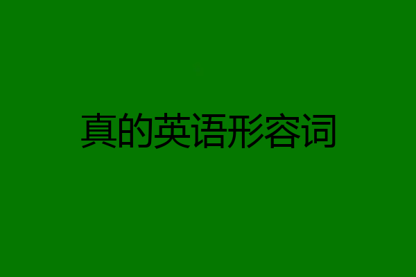 真的英语形容词