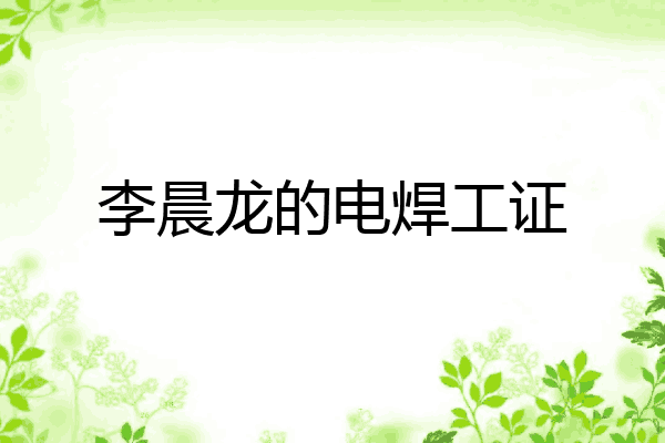 李晨龙的电焊工证