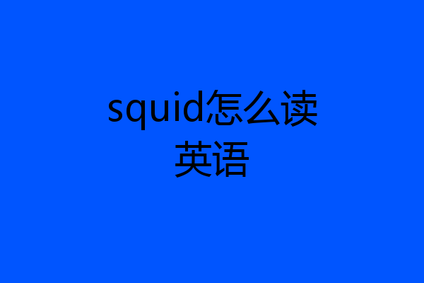 squid怎么读英语