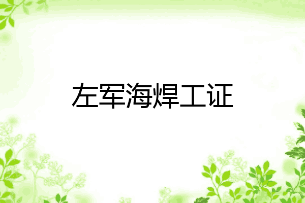 左军海焊工证