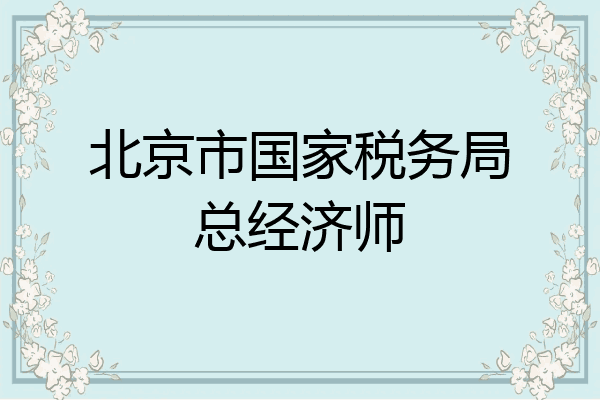 北京市国家税务局总经济师