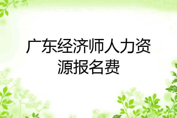 广东经济师人力资源报名费
