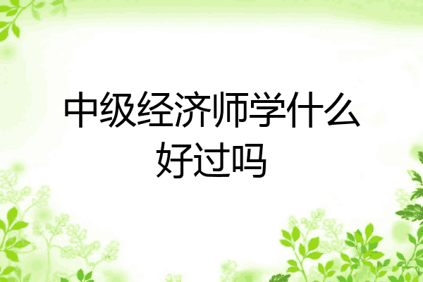 中级经济师学什么好过吗