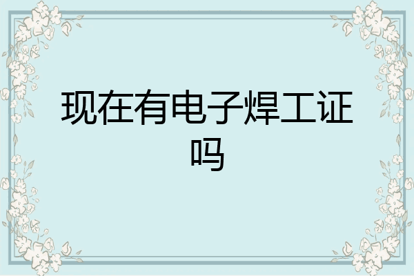 现在有电子焊工证吗
