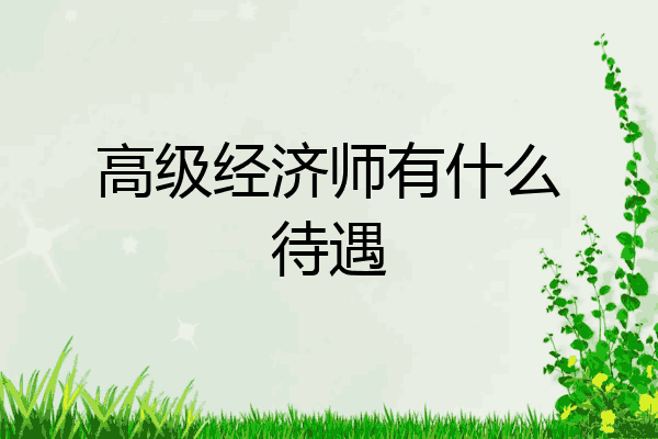 高级经济师有什么待遇