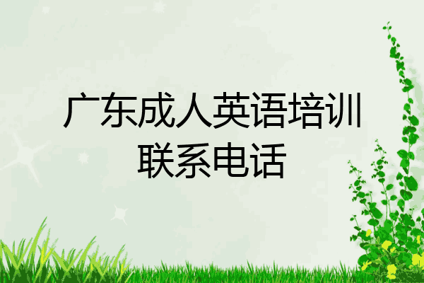 广东成人英语培训联系电话