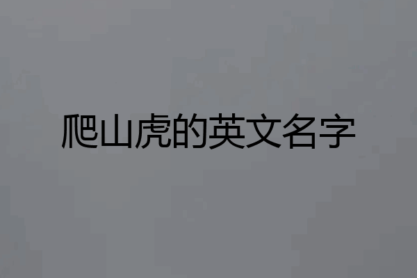 爬山虎的英文名字