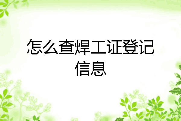 怎么查焊工证登记信息