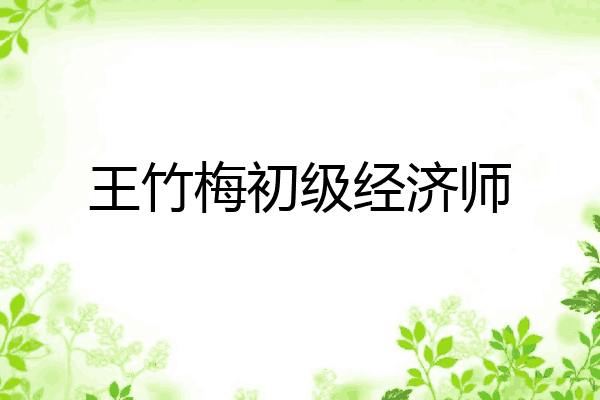王竹梅初级经济师