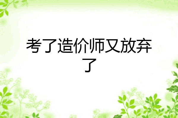 考了造价师又放弃了