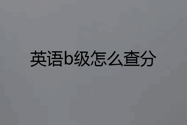 英语b级怎么查分